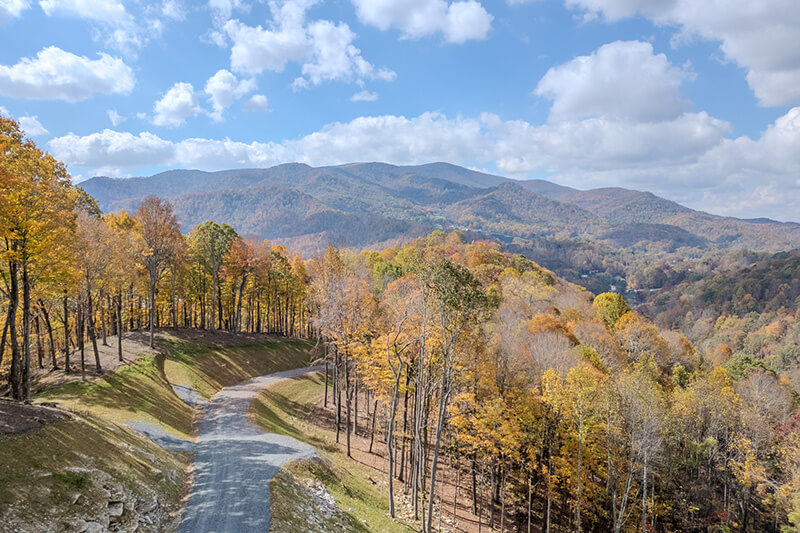 Fall foliage in North Carolina