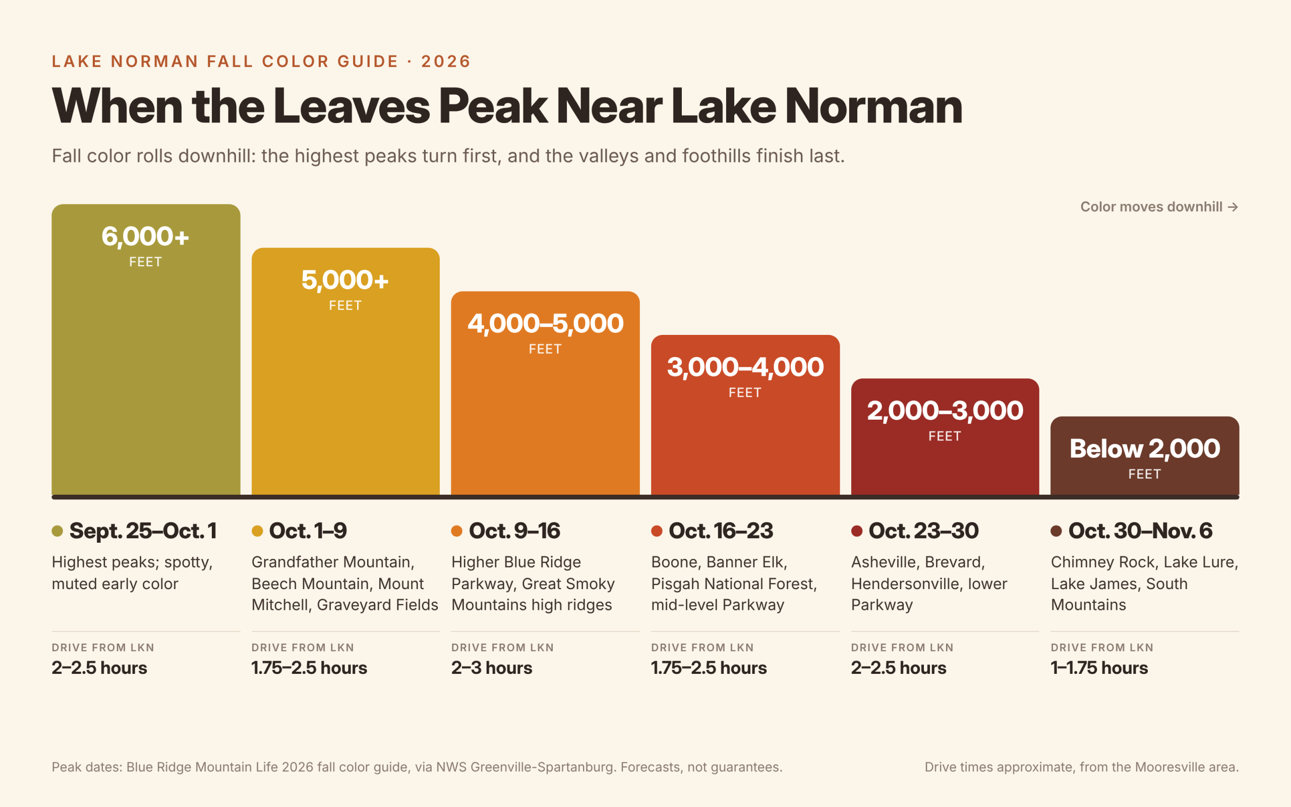 fall foliage graphic